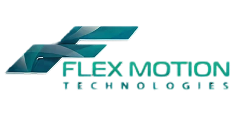 FLEX MOTION